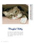 Freestyle Love of Cats Booklet