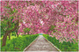 Simply Dotz Springtime Meander Diamond Painting Kit