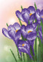 Spring Crocus Diamond Painting Kit