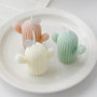 4 x Cactus Candles Set