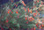 Zauschneria californica (Epilobium canum) landscape/habit
