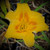 Hemerocallis 'Black Eyed Stella' flower close-up