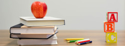 Back to School, Back To Basics: Healthy, Easy Lunch Ideas for You and Your Family
