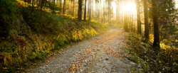 How to Optimize Performance by Finding Your “flow”