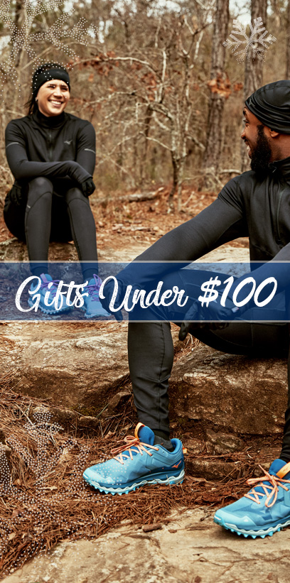 Cyber Steals Under $100