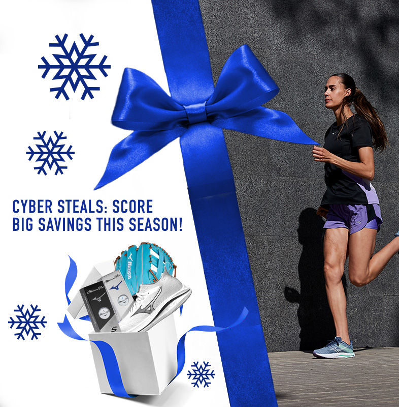 Cyber Steals