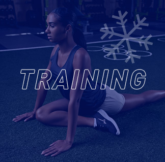 Training Cyber Steals