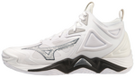 149387.preview.png?t=1736952220