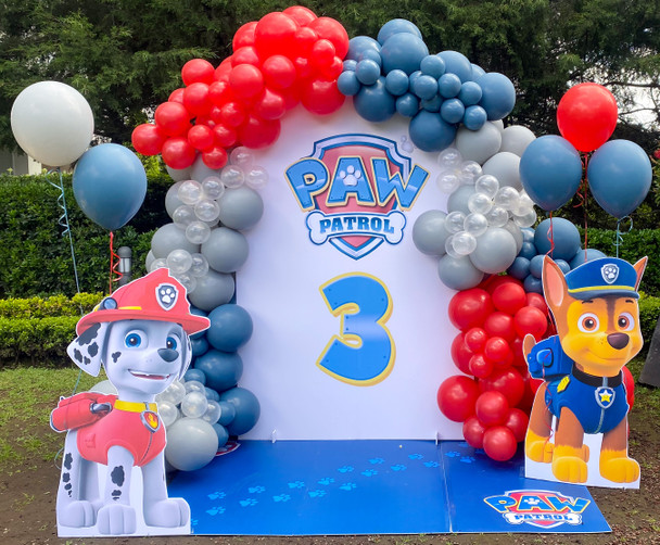 Photo Back Drop Mampara 2