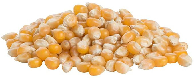Organic Pantry Popping Corn  250g(NASAA)