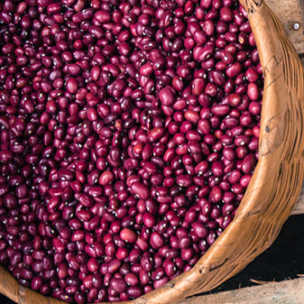 Cooking with Beans - preparation and uses of dried beans & pulses