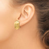 14k Polished Fancy Omega Back Post Earrings