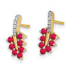 14k Ruby and Diamond Leaf Earrings