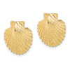 14K 2-D Textured Scallop Shell Post Earrings