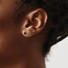 14k Black Diamond Stud Earrings