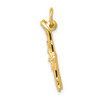 14K 3D Pair Of Skis Charm