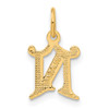 14k Letter N Initial Charm