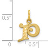 14k Letter P Initial Charm