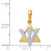 14K Star of David w/Shin Charm