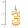 14k Medium Polished Number 3 Charm 14k Medium Polished Number 3 Charm
