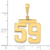 14k Medium Polished Number 59 Charm 14k Medium Polished Number 59 Charm