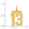 14k Medium Satin Number 13 Charm 14k Medium Satin Number 13 Charm
