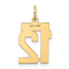 14k Small Satin Number 12 Charm 14k Small Satin Number 12 Charm