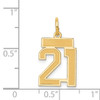 14k Small Satin Number 21 Charm