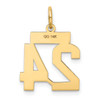 14k Small Satin Number 24 Charm