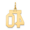 14k Small Satin Number 40 Charm 14k Small Satin Number 40 Charm
