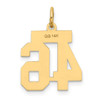14k Small Satin Number 46 Charm 14k Small Satin Number 46 Charm