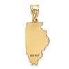 14KY Illinois State Pendant