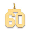 14k Medium Polished Number 60 Charm 14k Medium Polished Number 60 Charm