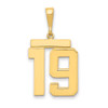 14k Large Polished Number 19 Charm 14k Large Polished Number 19 Charm