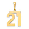 14k Large Polished Number 21 Charm