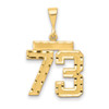 14k Medium Diamond-cut Number 73 Charm