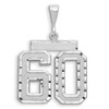 14kw Small Brushed Diamond-cut Number 60 Charm