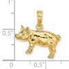 14K 3-D Textured Farm Pig Charm