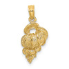 14K Wentletrap Shell Charm