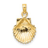 14K Polished Scallop Shell Charm