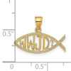 14K WWJD  Ichthus Charm