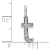 14K White Gold Diamond Lower Case Letter T Initial Pendant