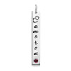 10KW Enameled w/18k Bezel Birthstone Vertical Bar Charm