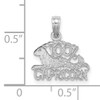 14k WG  100% CAPRICORN Charm