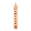 14KR Enameled w/18k Bezel Birthstone Vertical Bar Charm