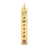 14KY Enameled w/18k Bezel Birthstone Vertical Bar Charm