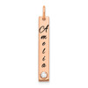 14KR Small Enameled w/18k Bezel Birthstone Vertical Bar Charm