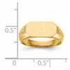 14k 6.0x12.5mm Open Back Signet Ring