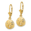 10K Polished Sand Dollar Leverback Earrings