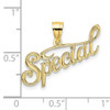 10K Polished and Textured SPECIAL Pendant